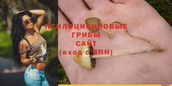 spice Вяземский