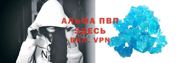 spice Вяземский