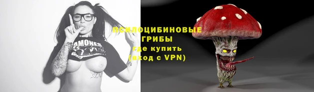 spice Вязники