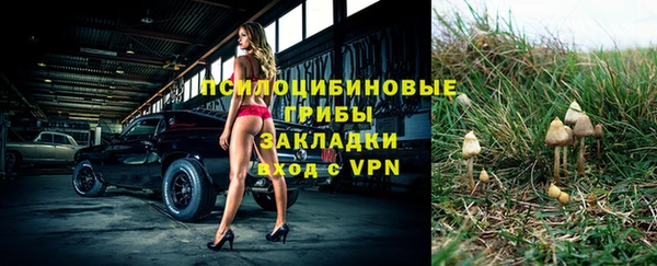 spice Вяземский