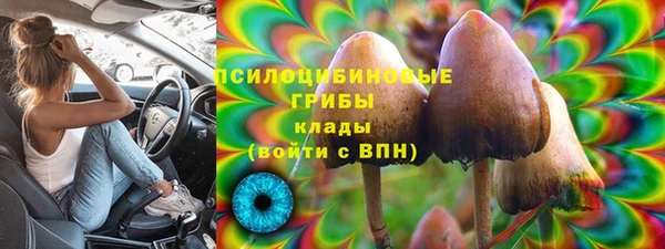 spice Вязники