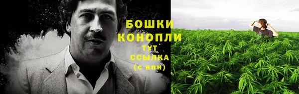 spice Вяземский
