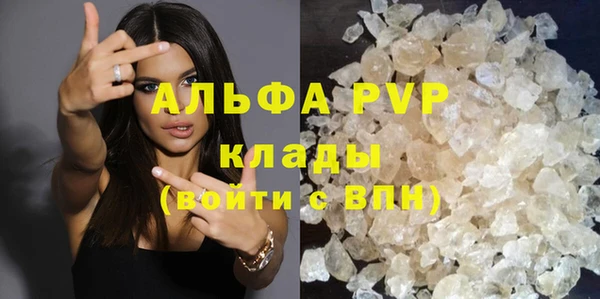 spice Вяземский