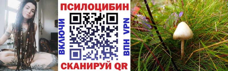 Псилоцибиновые грибы Psilocybe  закладки  Дербент 